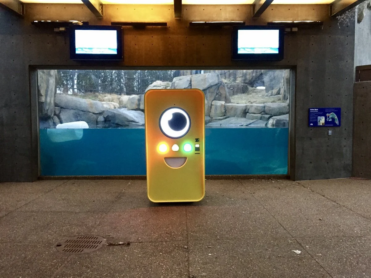Glowing yellow Snapbot vending machine in front of a polar bear underwater viewing window at a zoo
